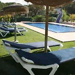 Pine Tree Seaside 500m To Albufeira