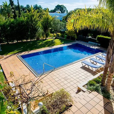 Pine Tree - Da Coelha - Appartement *