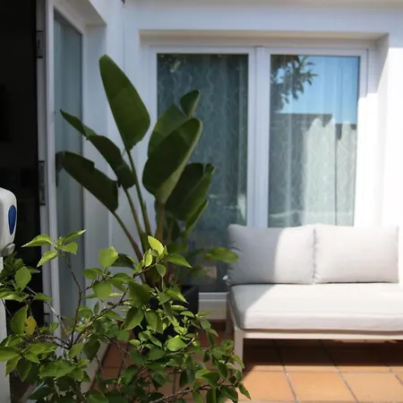 Pine Tree Seaside 500m To Apartman *