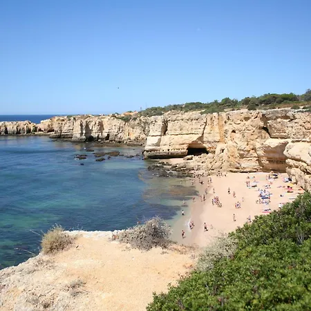 Διαμέρισμα Pine Tree Seaside 500m To *