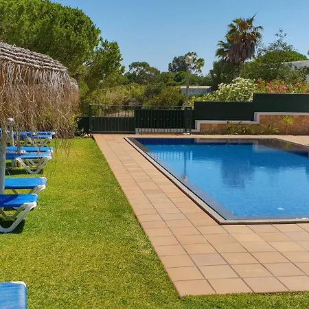 Apartament Pine Tree - Da Coelha - *