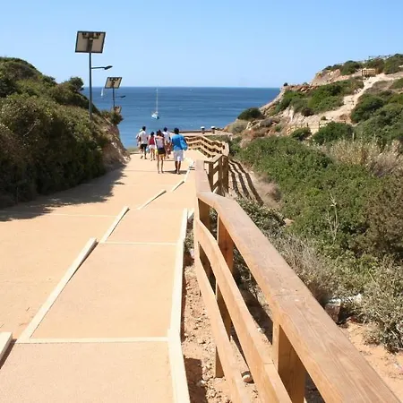 Appartement Pine Tree - Da Coelha - *