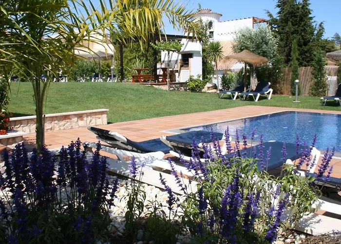 Pine Tree Seaside Apartments 500M To Beach * Albufeira