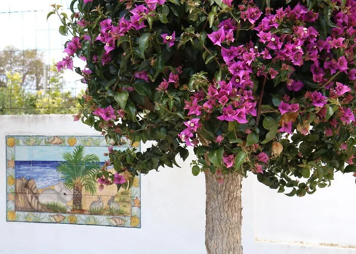 Pine Tree Seaside Apartments 500M To Beach *