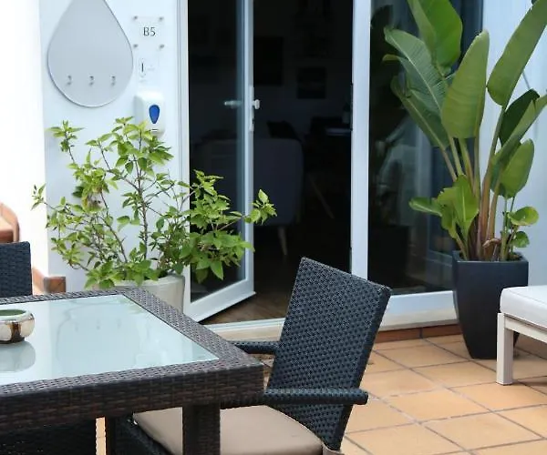 Pine Tree Seaside Apartments 500M To Beach Albufeira