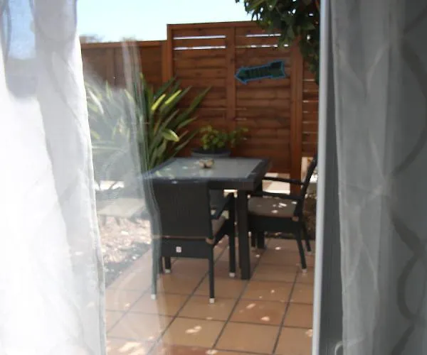 Pine Tree Seaside Apartments 500M To Beach Albufeira