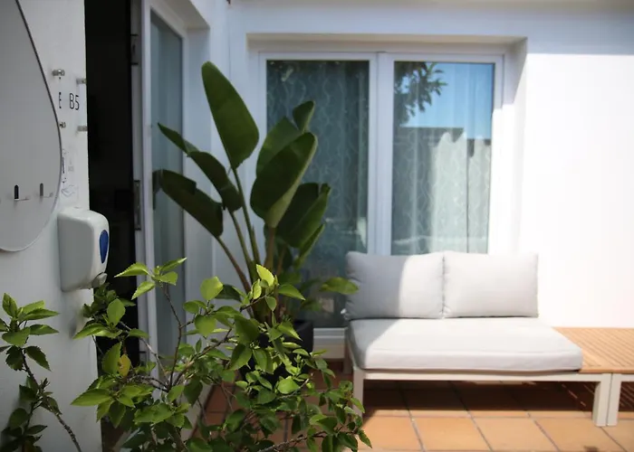 Pine Tree Seaside Apartments 500M To Beach Apartment *