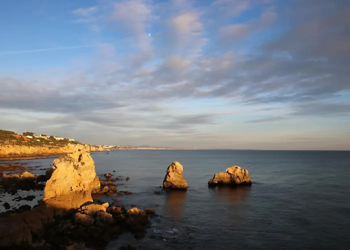 Pine Tree Seaside Apartments 500M To Beach Apartment *