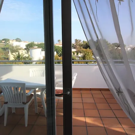 Pine Tree - Da Coelha - *