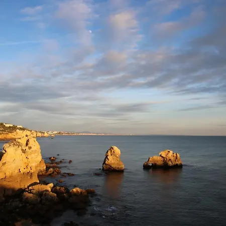 Pine Tree - Da Coelha - Apartman *